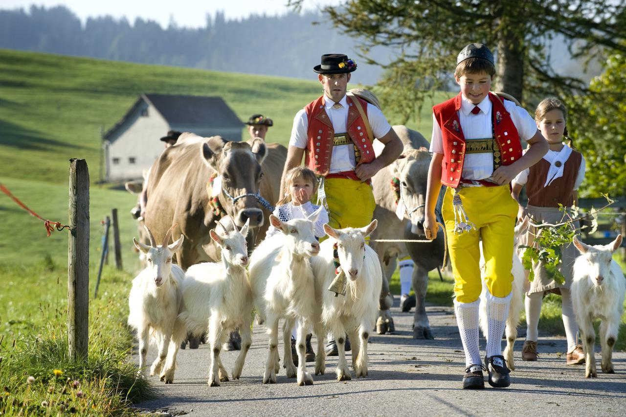 Hotel Landhaus Saentis Herisau Kültér fotó